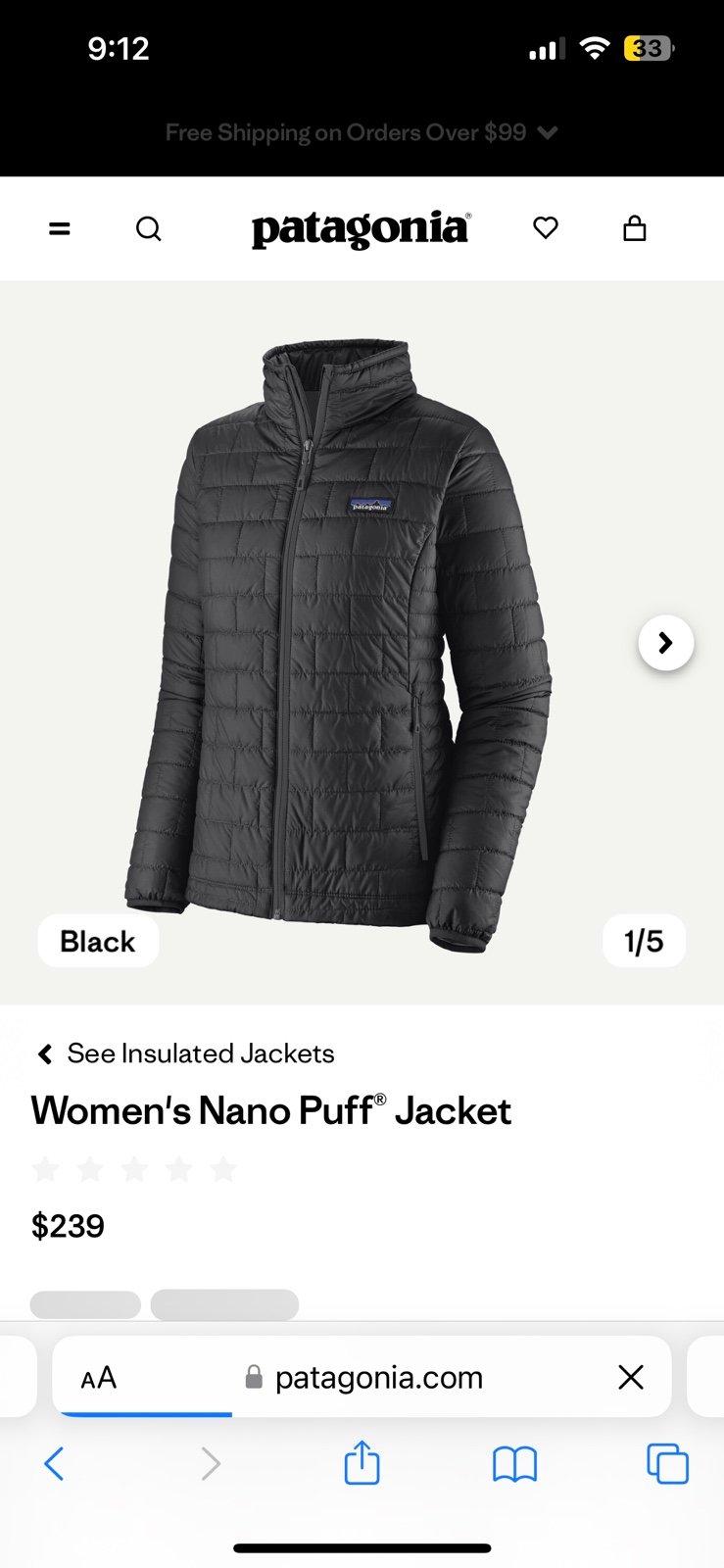 Patagonia Nano Puff