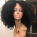 Kinky afro wig 16 100% human hair lace