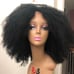 Kinky afro wig 16 100% human hair lace