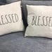 Rae Dunn Pillow Set
