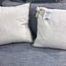 Rae Dunn Pillow Set