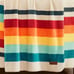 Pendleton Mount Foraker Plush Throw