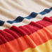 Pendleton Mount Foraker Plush Throw