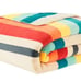 Pendleton Mount Foraker Plush Throw