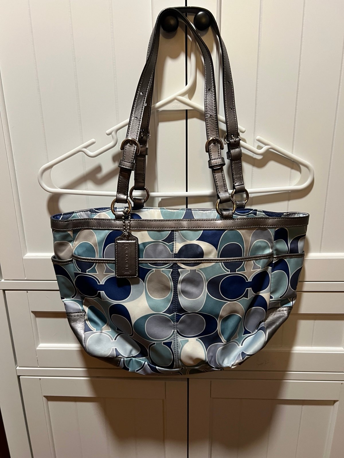 2 coach bags set