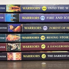 Lot of 6 Erin Hunter Warriors 1-6 Complete First Avon Edition