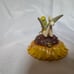 Rare Department 56 Disney Tinkerbell on Sunflower Bejeweled Trinket Box