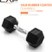 Coated Hex Dumbbell Weight 10 Lbs