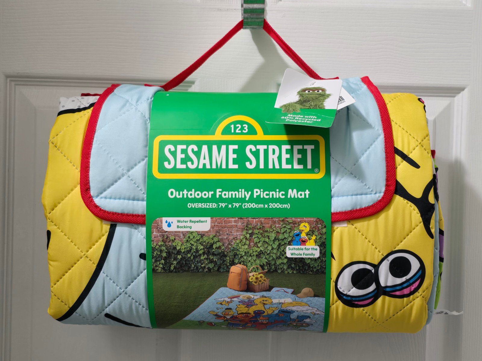 Sesame Street Friends Outdoor Family Picnic Mat Blanket 79 x 79