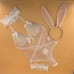 3pcs Bunny Costume Powder Pink Lingerie Set