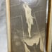 The Divine Comedy: Hell, Paradise & Purgatory by Dante (3 Volume Set) - 1966
