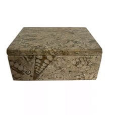 Rare Genuine Fossil Stone Storage Box