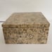 Rare Genuine Fossil Stone Storage Box