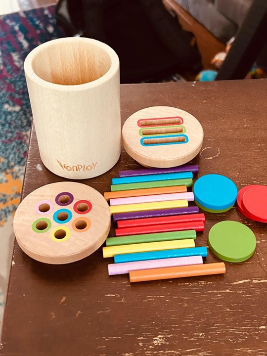Vanplay Montessori Toys for 1-3 Year Old Wooden Learning Color Sorting Toys for