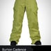 NWT Burton WB Cadence Snow pants The color is called grass stain Womens size l