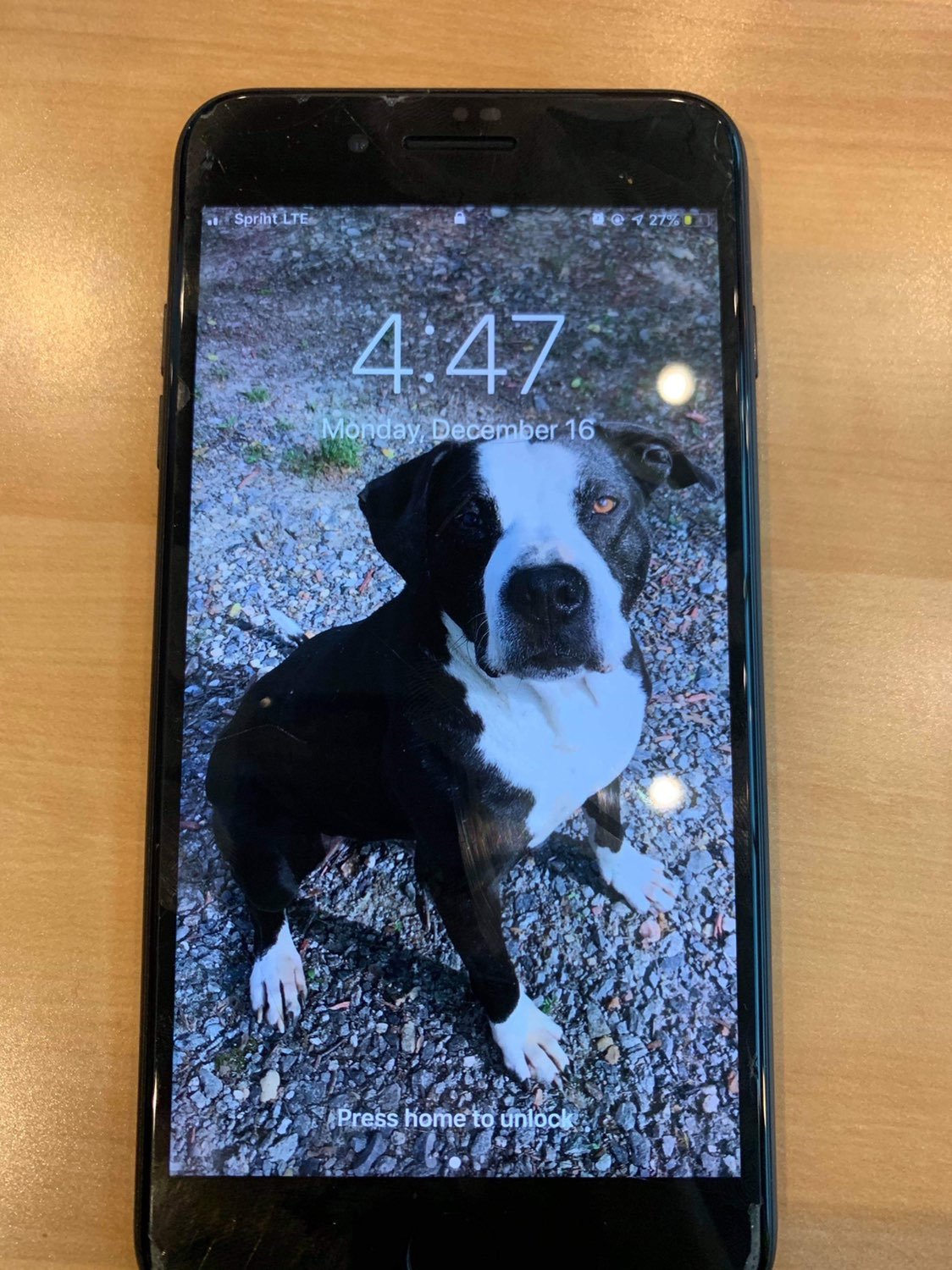 Iphone 7 plus