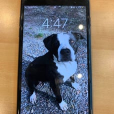 Iphone 7 plus