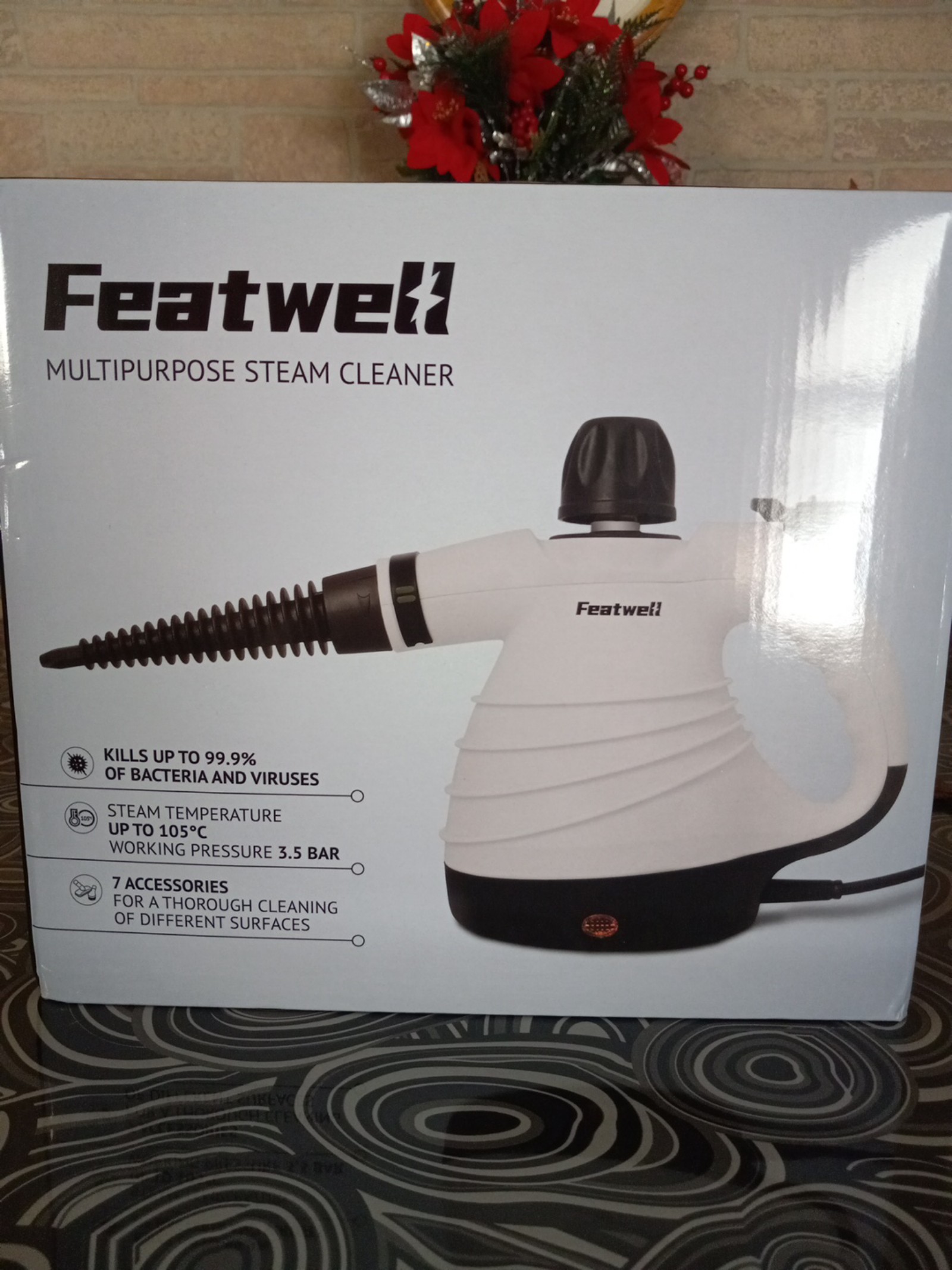 Steam Cleaner