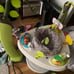 Evenflo Exersaucer Activity Center, Safari Friends, Safari Friends