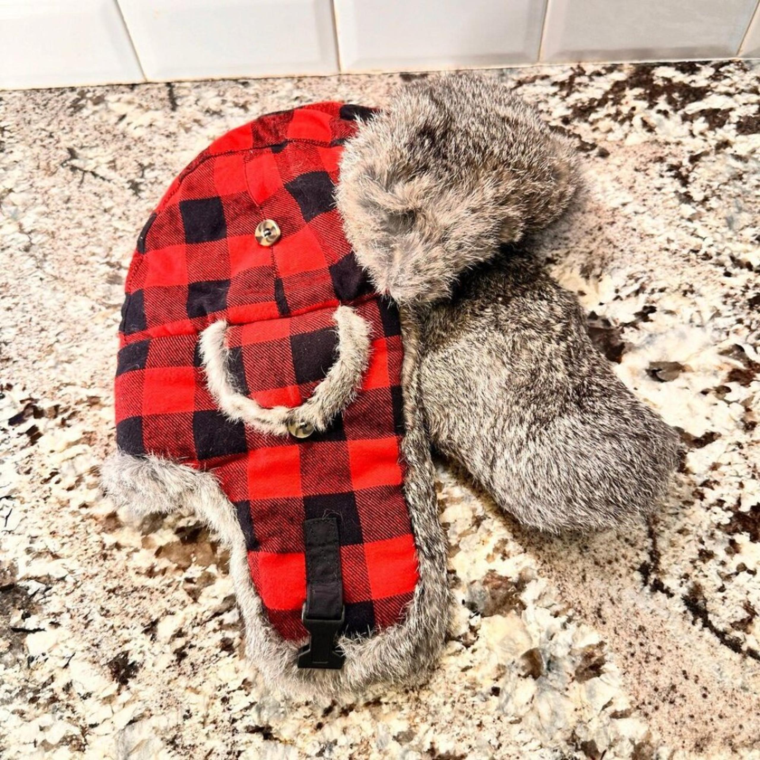 Cabella’s Fur Hat Black and Red Plaid Lumberjack hat