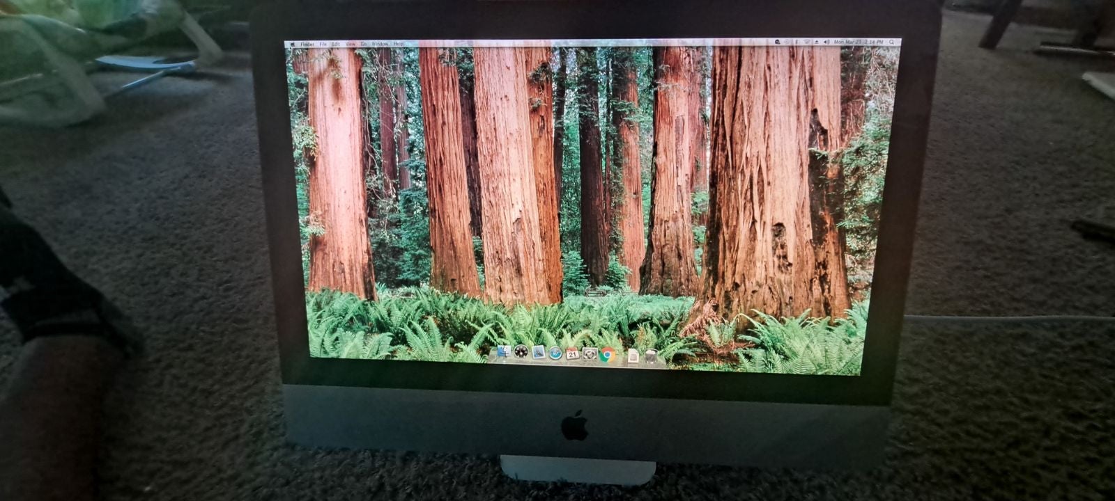 Apple iMac 21 .5