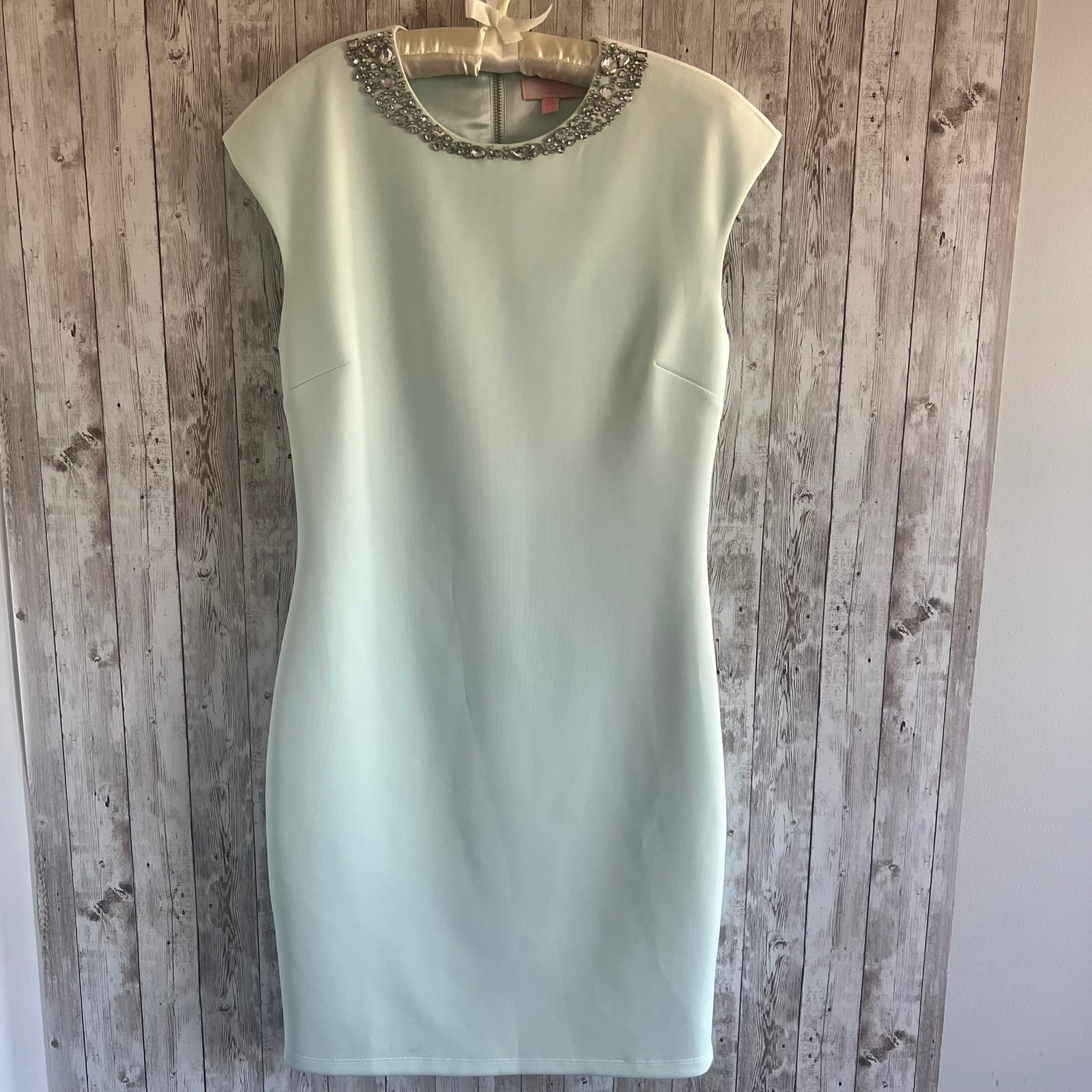 Ted Baker Elegant Mint Green Dress with Embellished Neckline