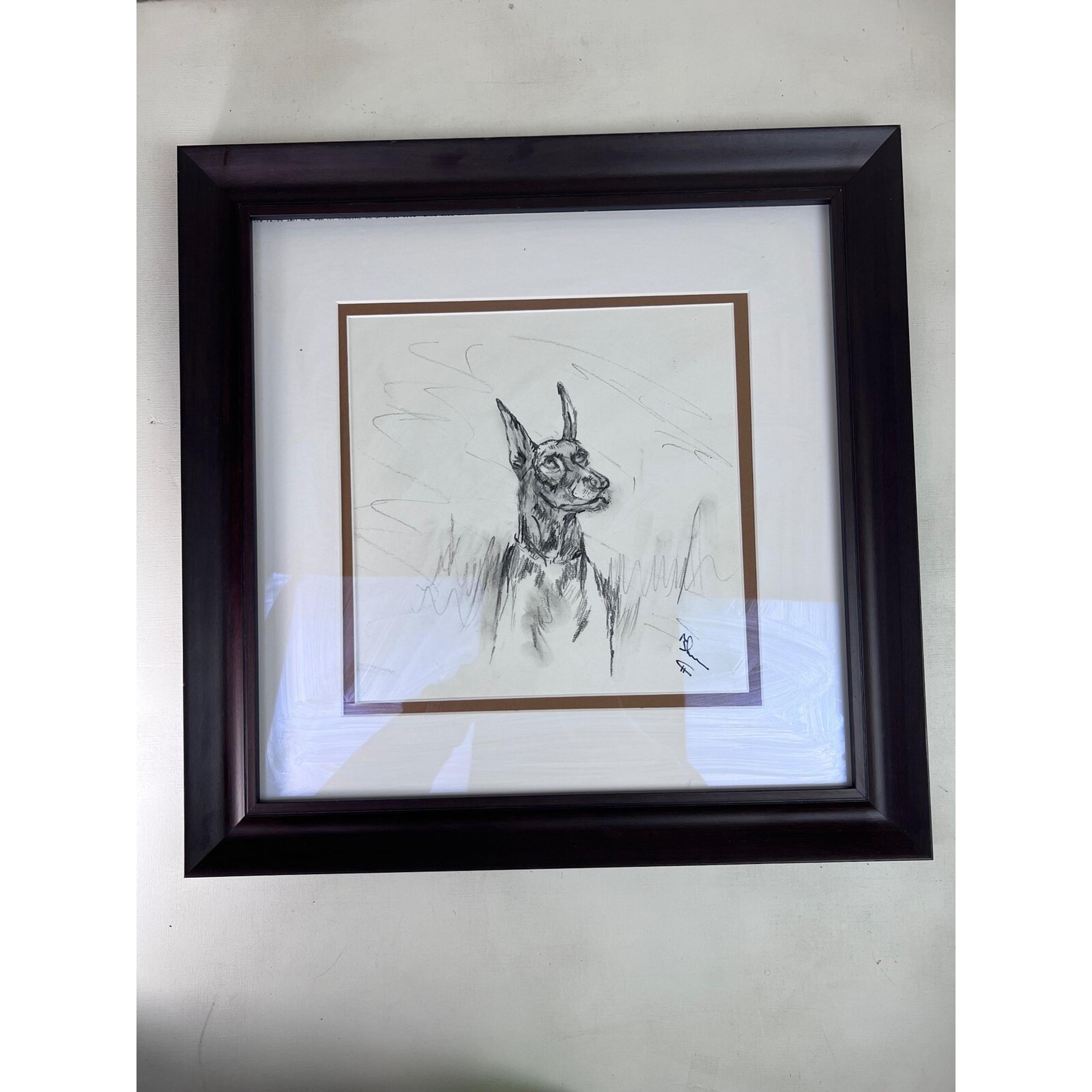 Framed Doberman Sketch Art Dog Portrait Drawing Signed Wall Decor