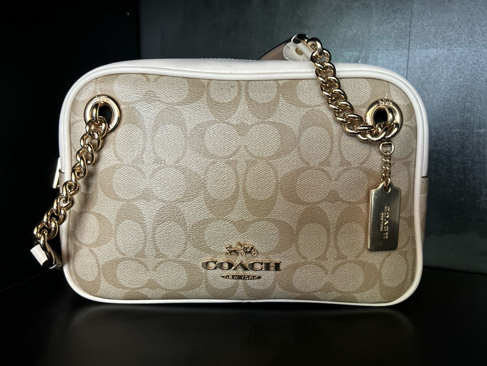 Cammie Chain Shoulder Bag In Signature Canvas