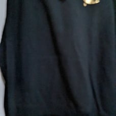 Champion athletic wear hoodie