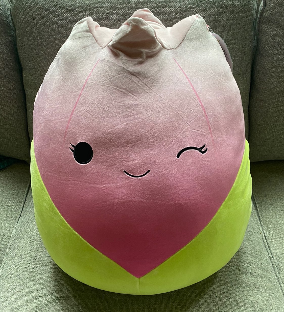 Bridgie the Tulip Squishmallow 20