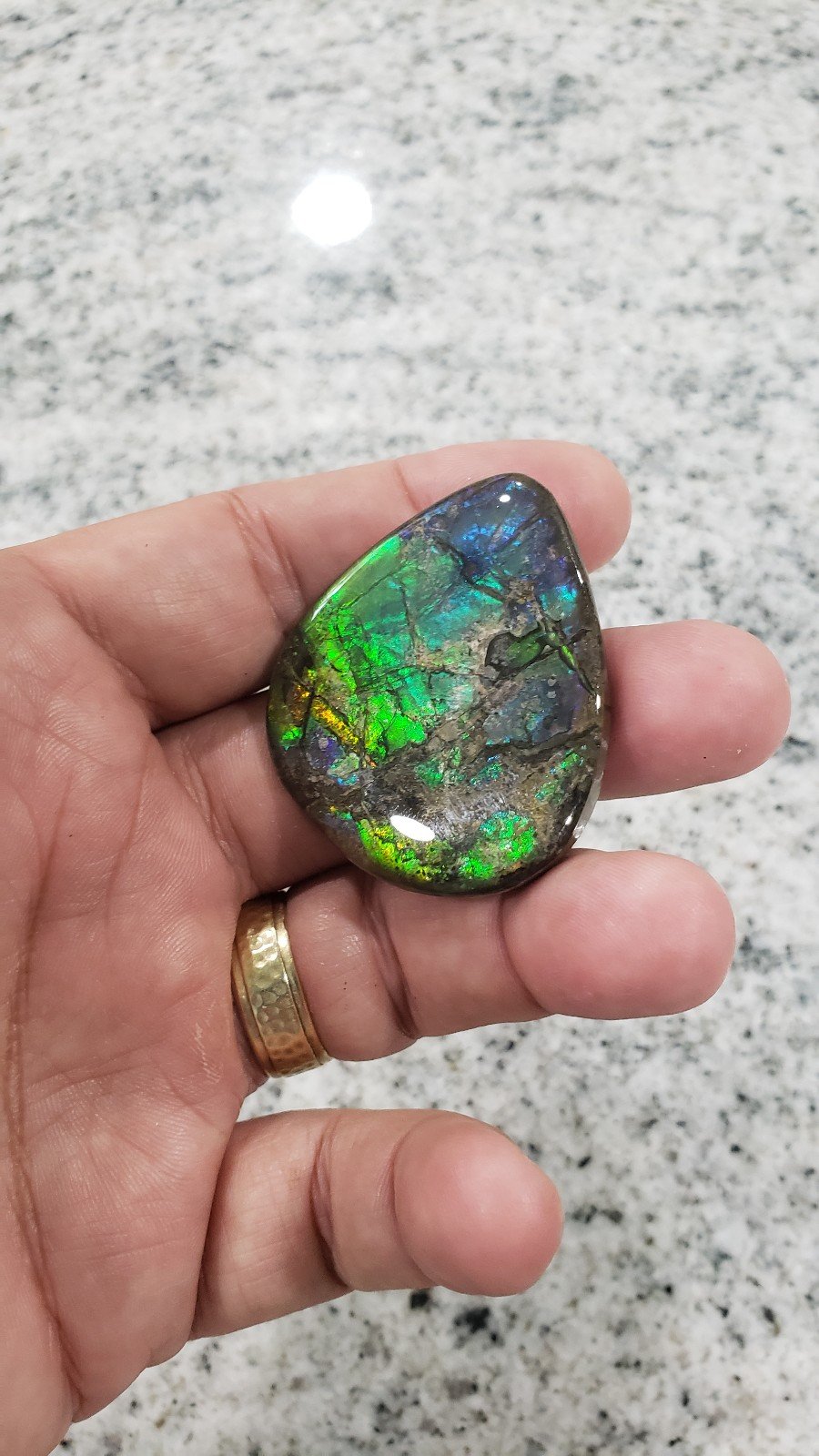 Ammolite