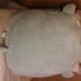 squishmallow armie the bull 16