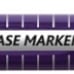 Colorful Dry Erase Markers, Bullet Tip, 12-Count