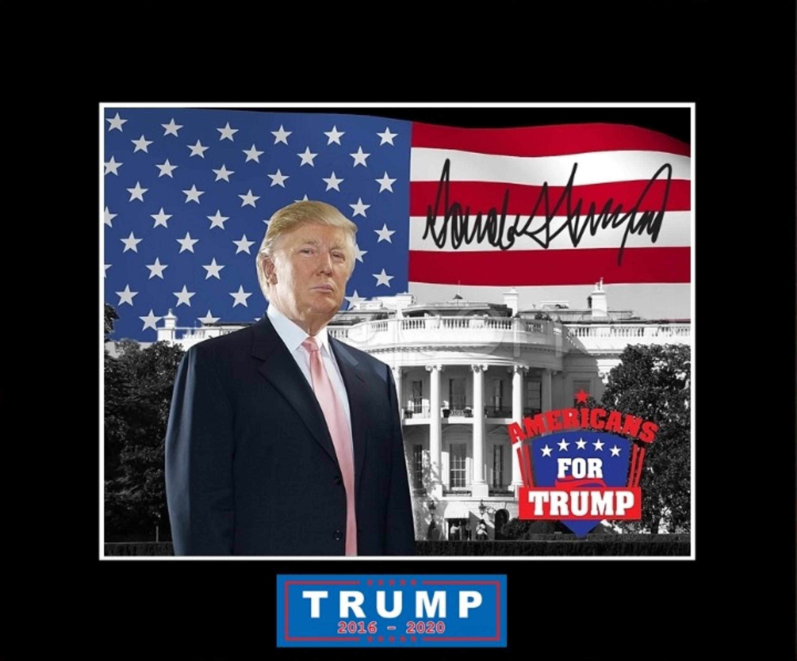 DONALD TRUMP 11x14 Photo Mat