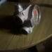 Hydraulic pump