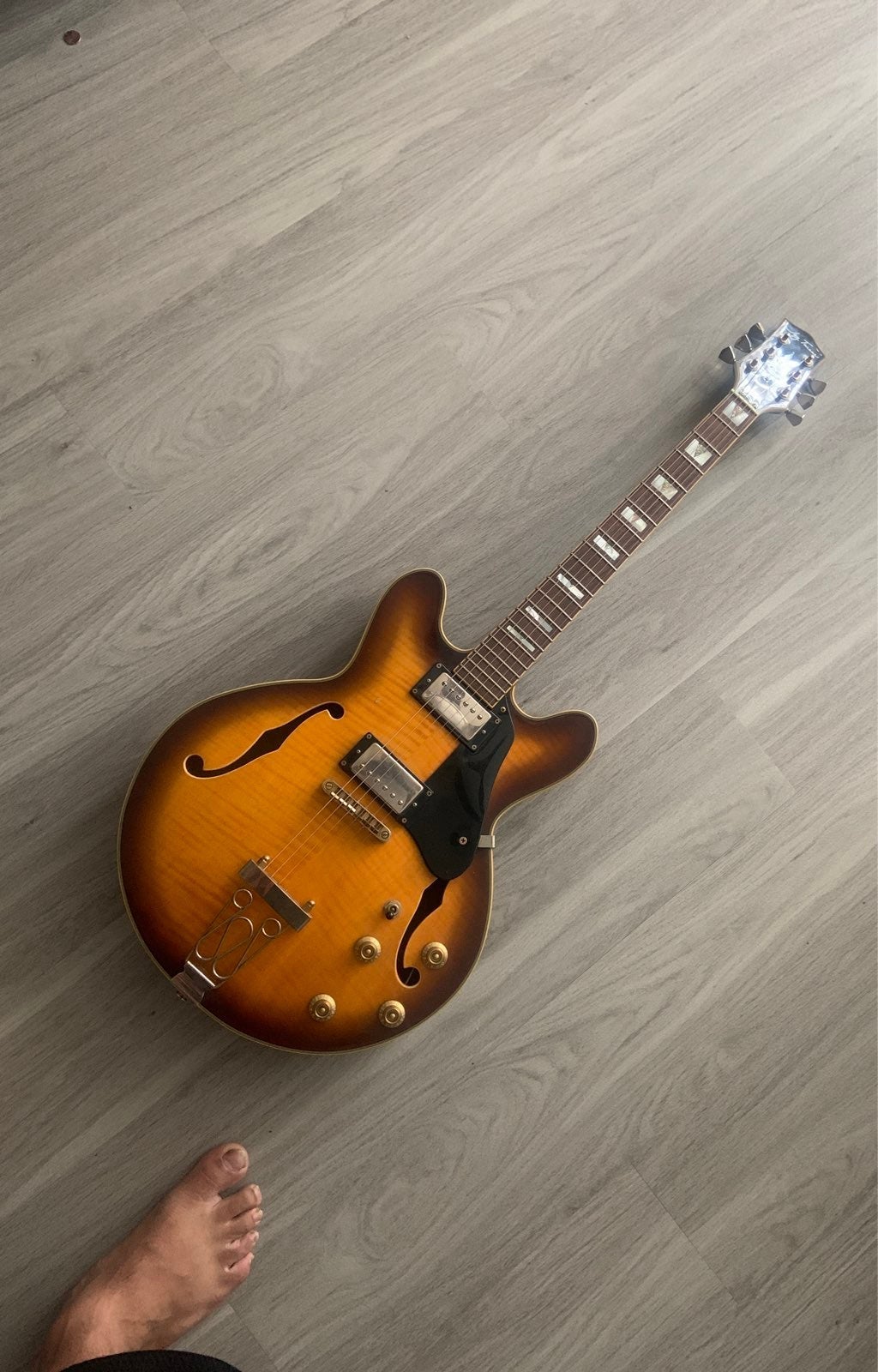 Jay turser electric hallow guitar