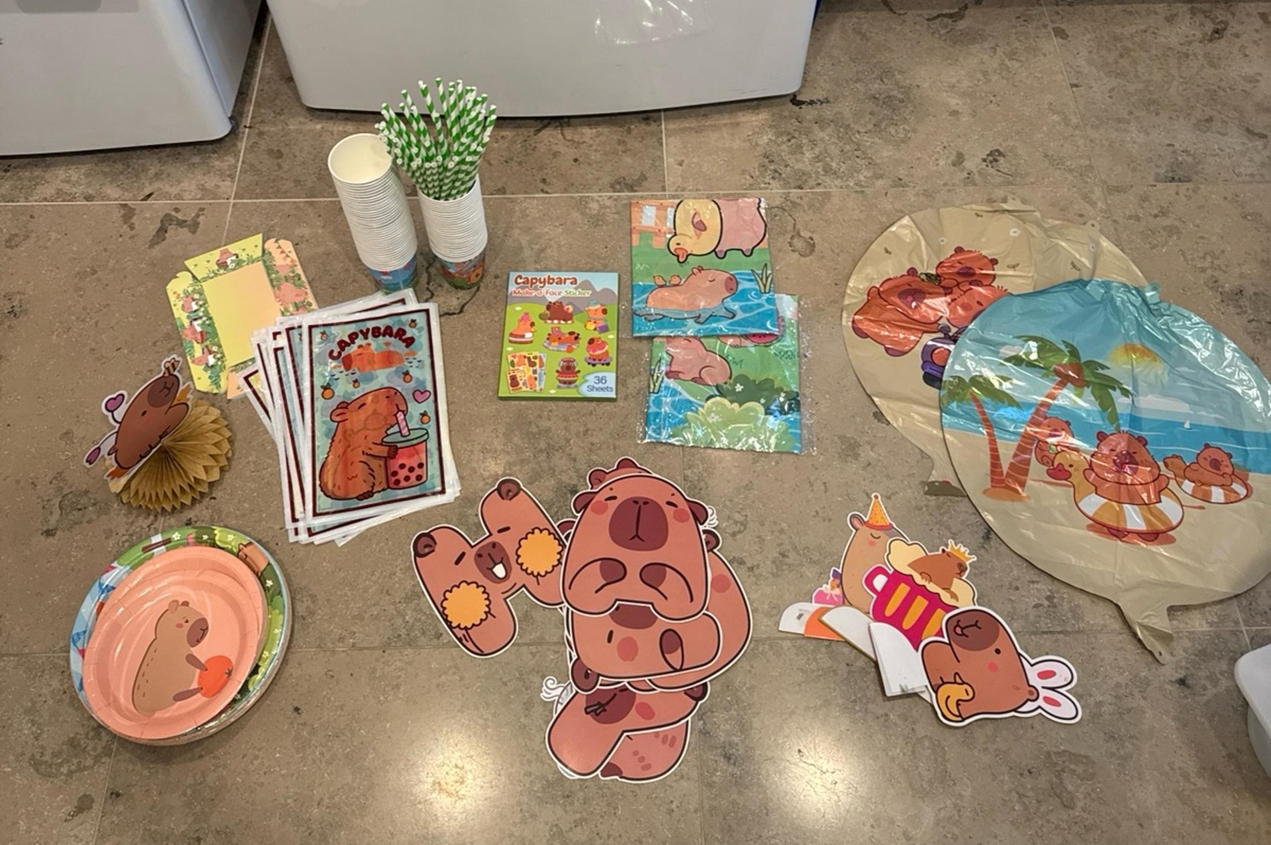 Bundle of capybara party supplies