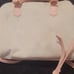 Juicy Couture Bag