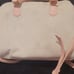 Juicy Couture Bag