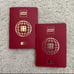 2 Lego Passport Books