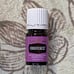 Forgiveness Essential Oil Blend 5mL YLEO