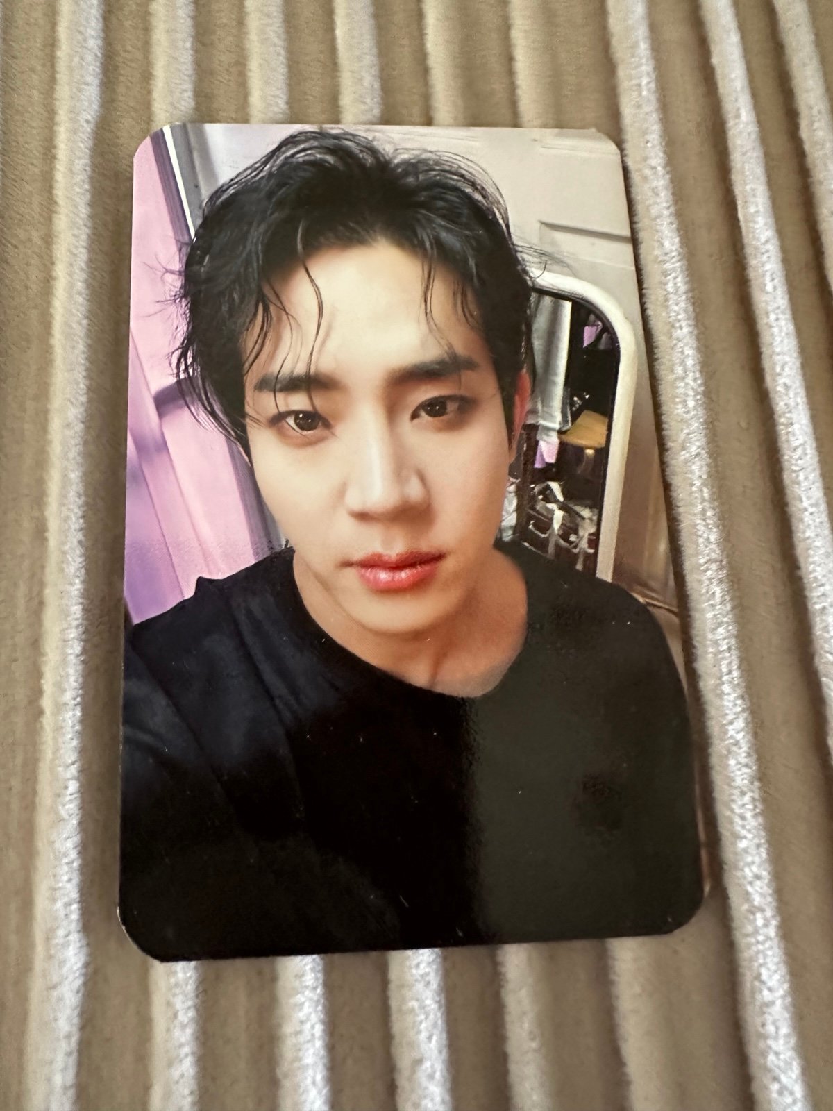The Rose Festival Tshirt PC Dojoon