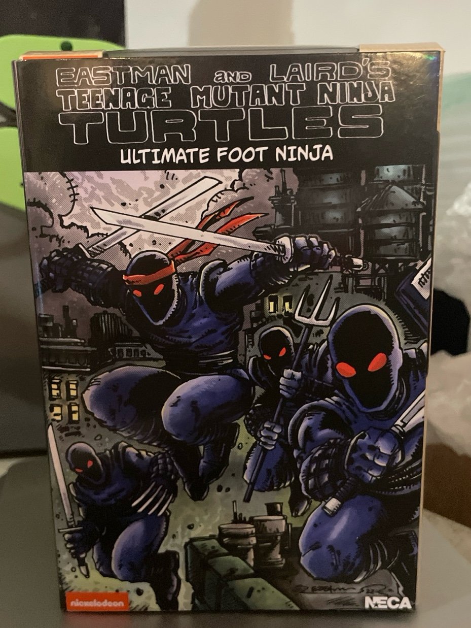 TMNT Ultimate Foot Ninja