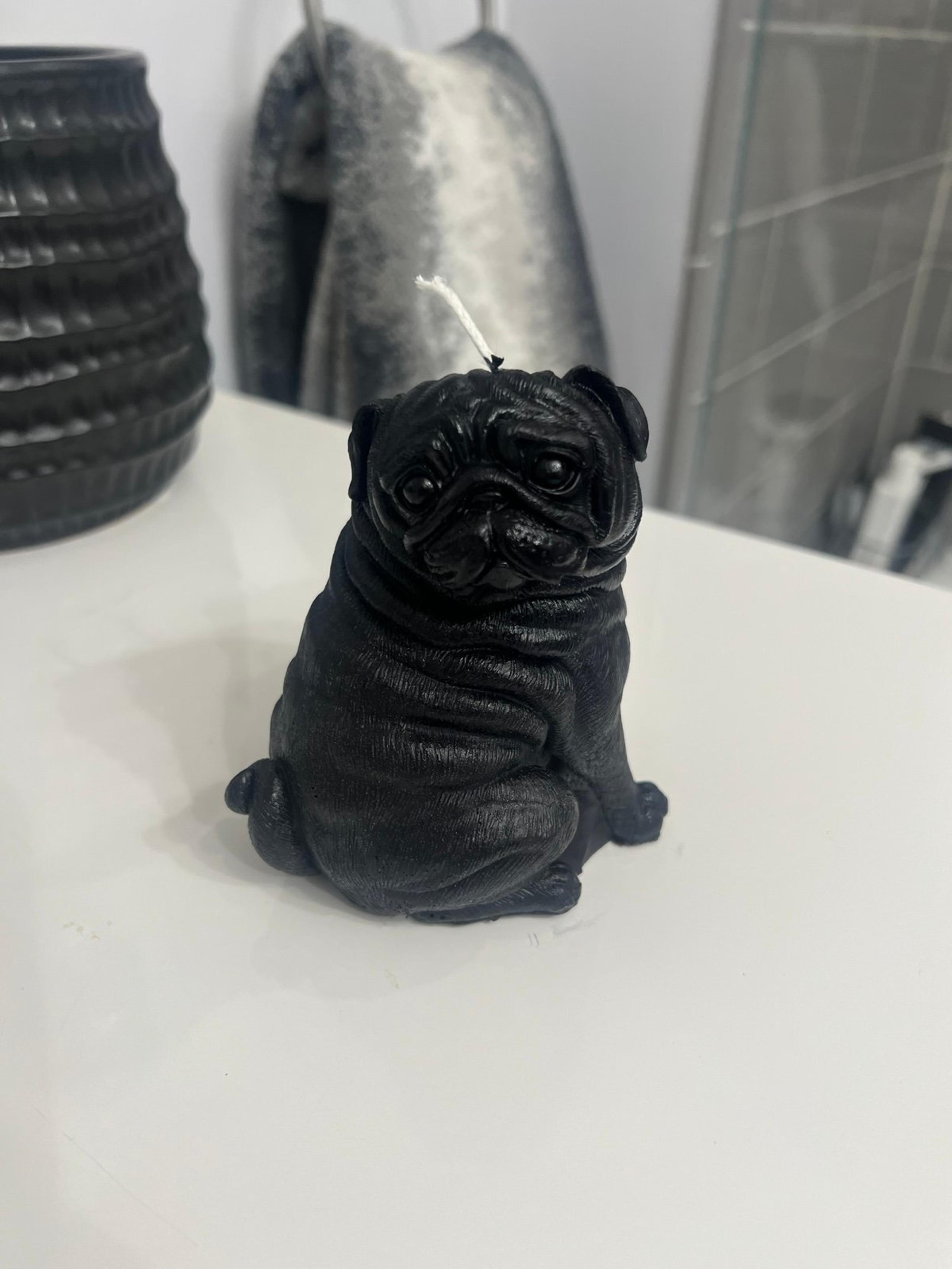 Black pug candle