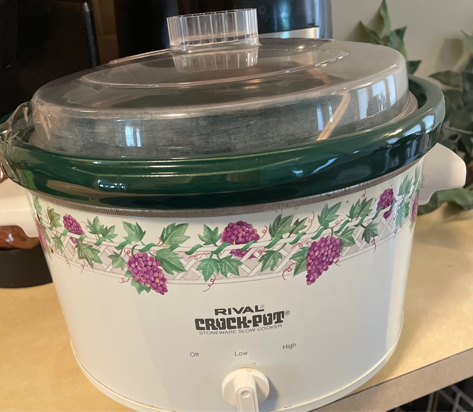 rival crock pot model scr509wm