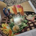 Texas the beautiful cookbook