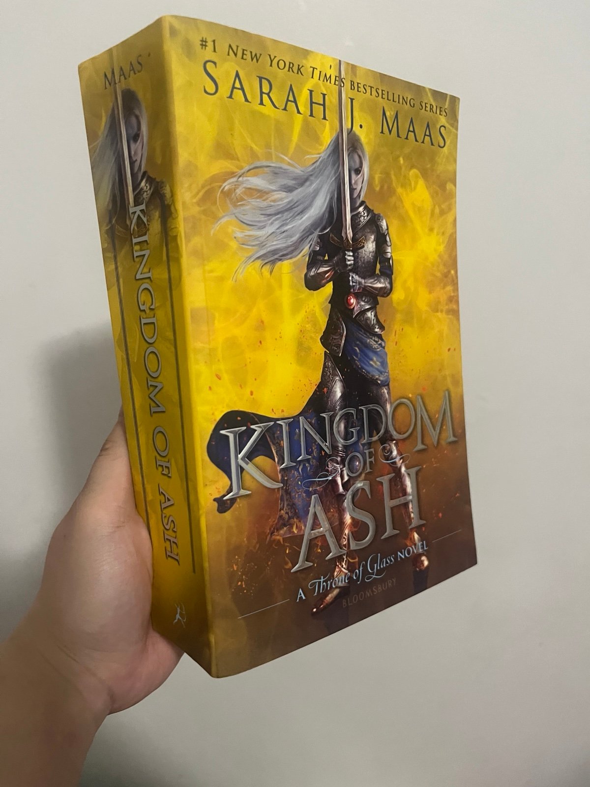 kingdom of ash paperback