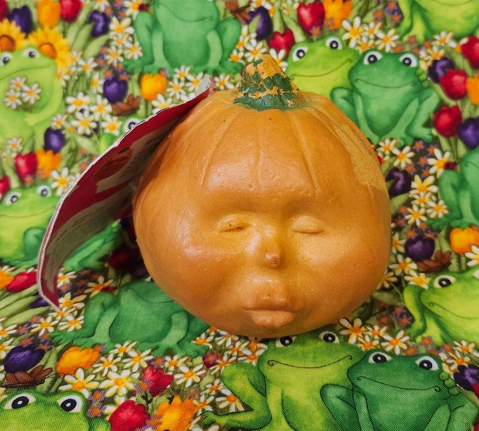 Vintage 1980s Todd Masters Baby Oh Lanterns Jamie Foam Pumpkin