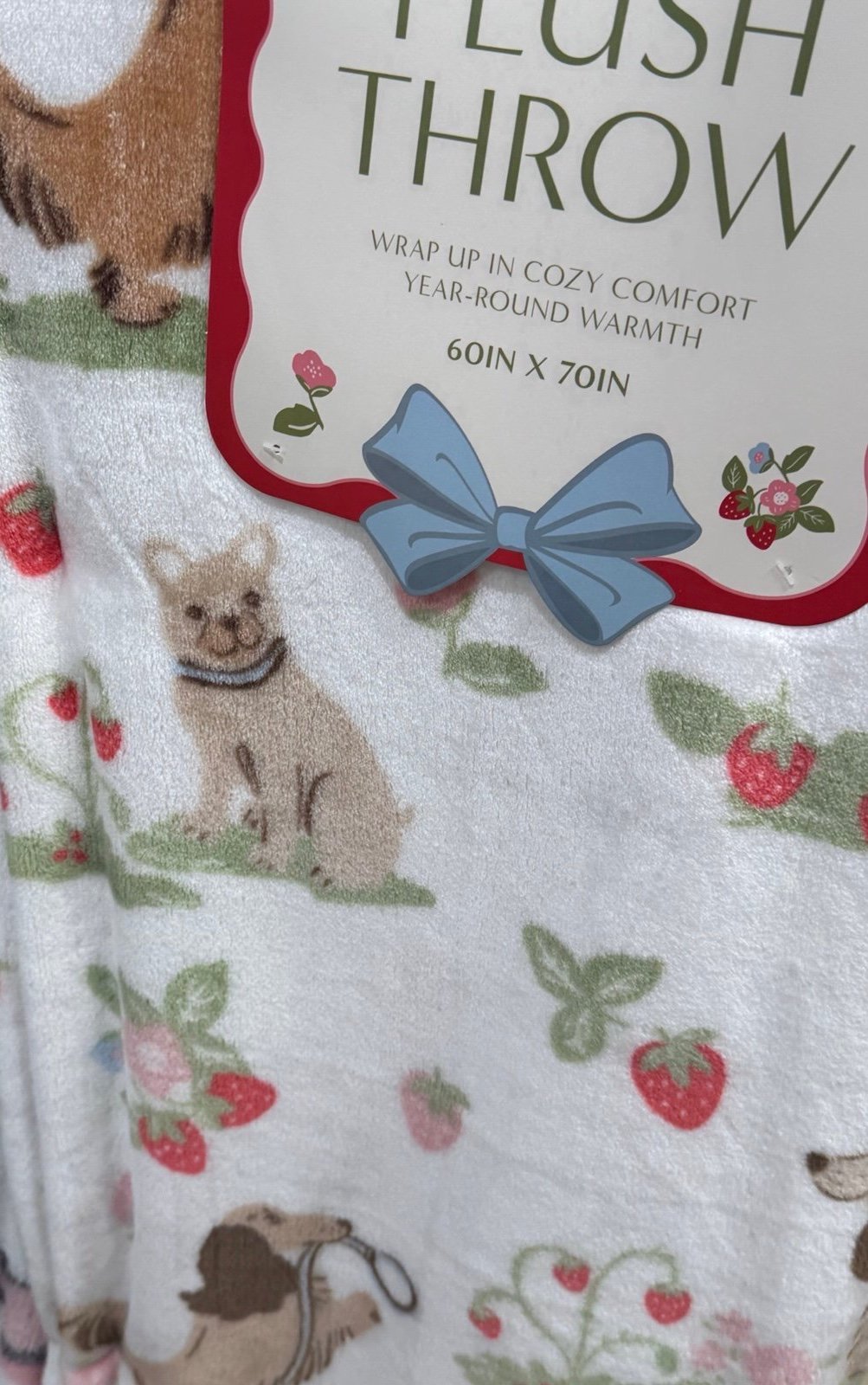 Envogue throw dog w strawberry