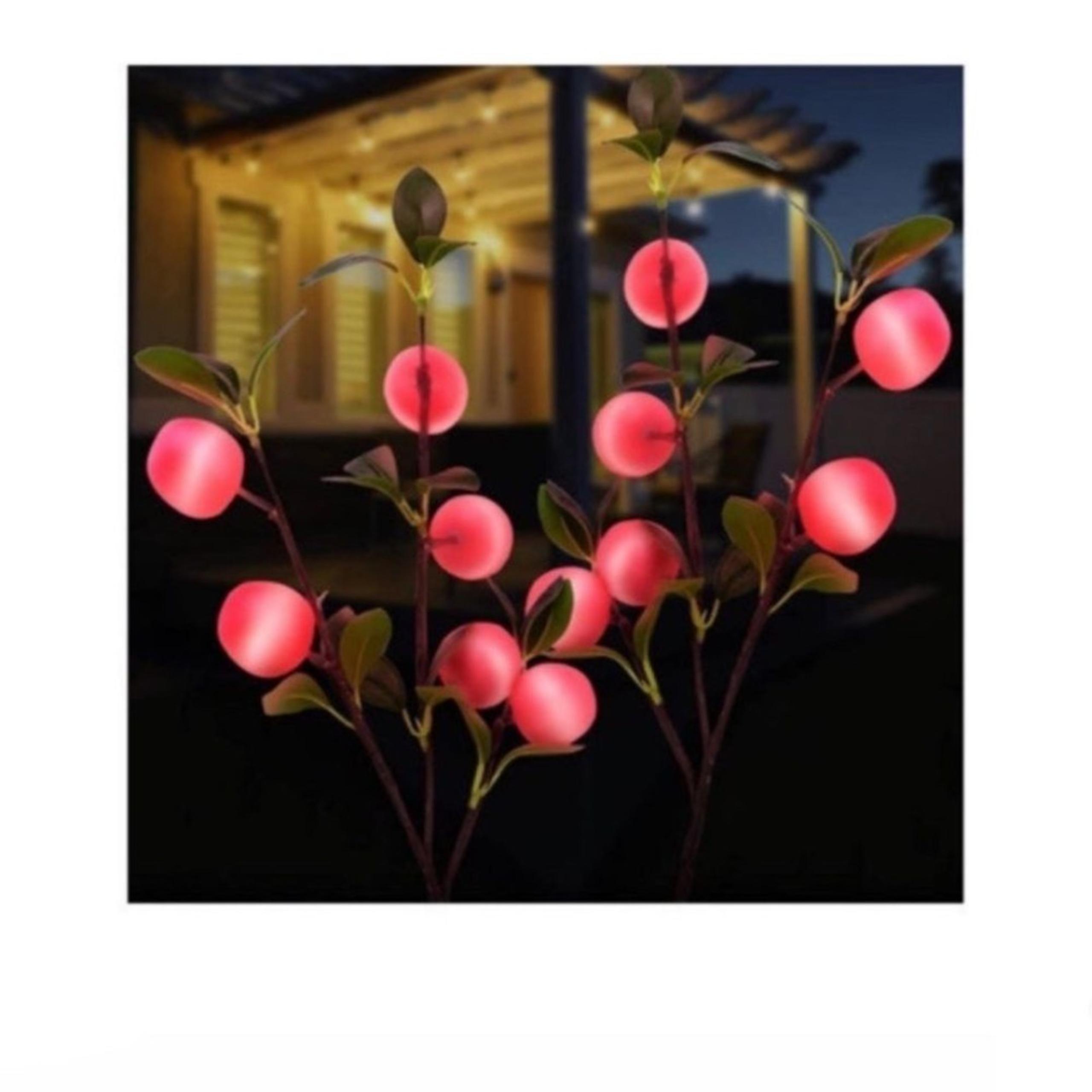 Solar Pathway Lights 2 Pack